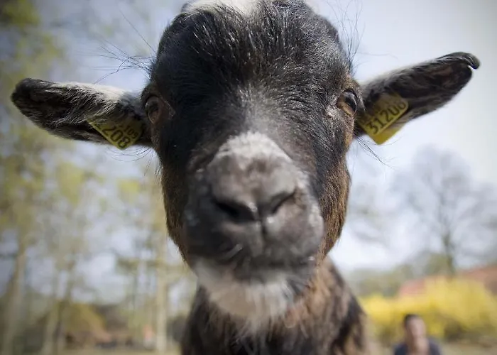 Muehlenhof-soderstorf-wohnung-a Apartmán *